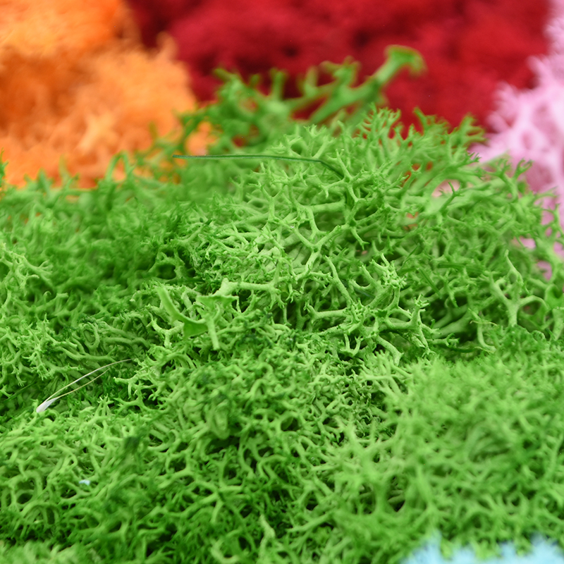 20/40g Artificial Green Plants - Terrarium Moss Art avaliação e preço