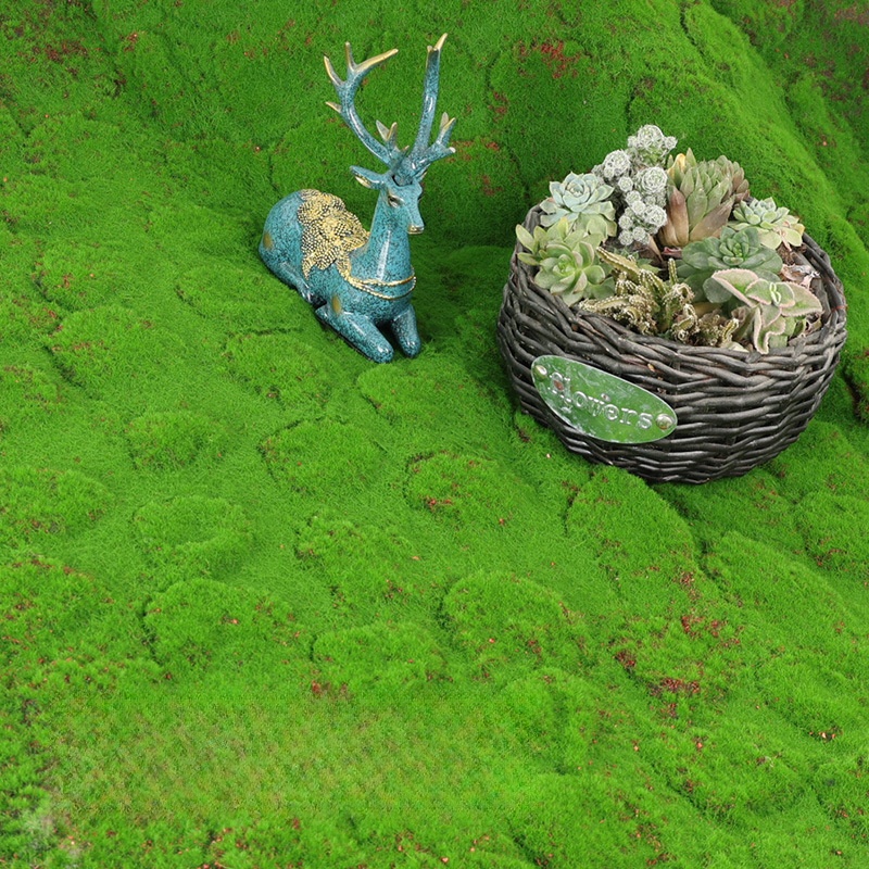 Artificial Turf Moss Simulatio - Terrarium Moss Art avaliação e preço
