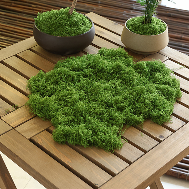 about 20g Artificial Green Pla - Terrarium Moss Art avaliação e preço