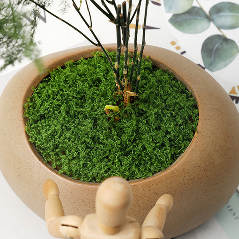 about 20g Artificial Green Pla - Terrarium Moss Art avaliação e preço