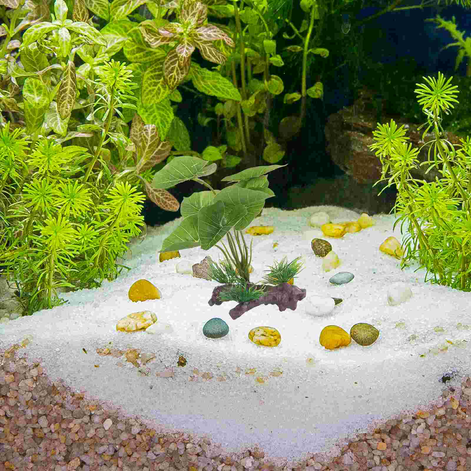 Fish Tank Artificial Water Pla - Terrarium Moss Art avaliação e preço