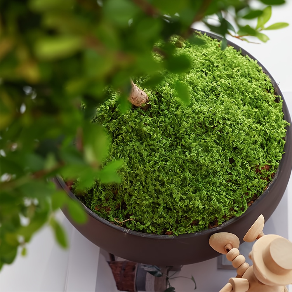1pack Artificial Fake Moss, 1. - Terrarium Moss Art avaliação e preço