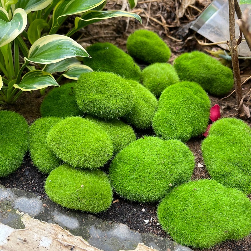 5/30pcs Simulation Moss Stone  - Terrarium Moss Art avaliação e preço