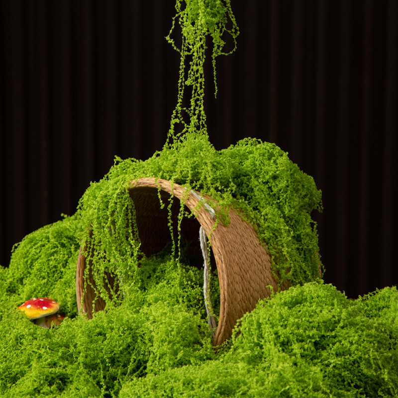200g Eternal Life Moss DIY Cra - Terrarium Moss Art avaliação e preço
