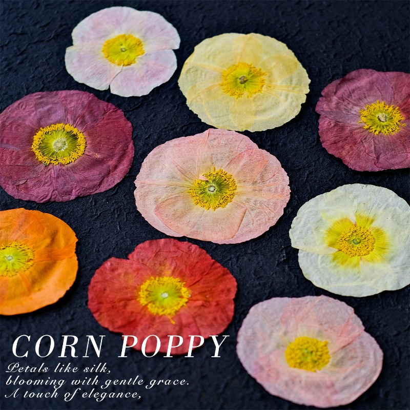 1pcs,Nature Field Poppy Presse - Resin Craft Ideas avaliação e preço
