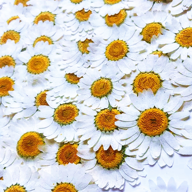 100Pcs Natural White Crystal C - Resin Craft Ideas avaliação e preço