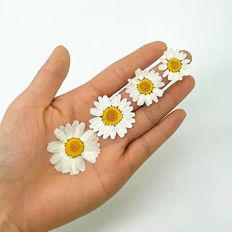 100Pcs Natural White Crystal C - Resin Craft Ideas avaliação e preço