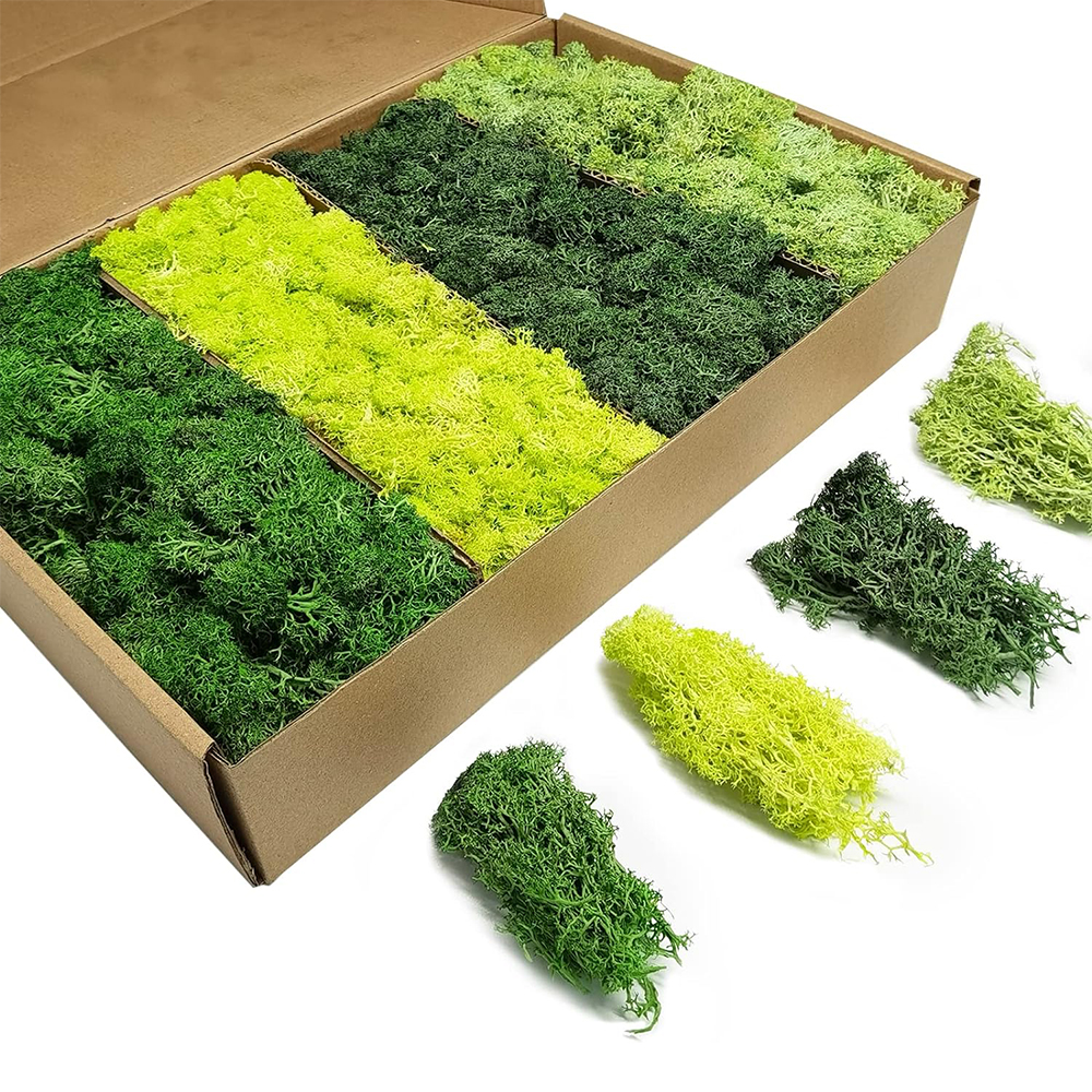 Artificial Green Plants Eterna - Terrarium Moss Art avaliação e preço