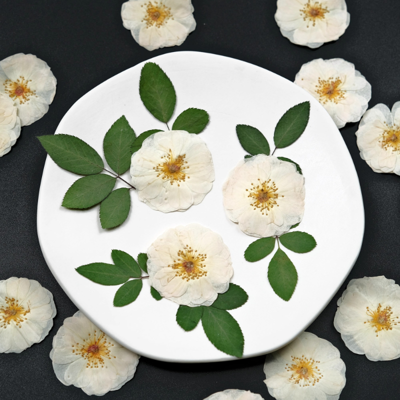 6pcs,9pcs,Nature White Rose Pr - Resin Craft Ideas avaliação e preço