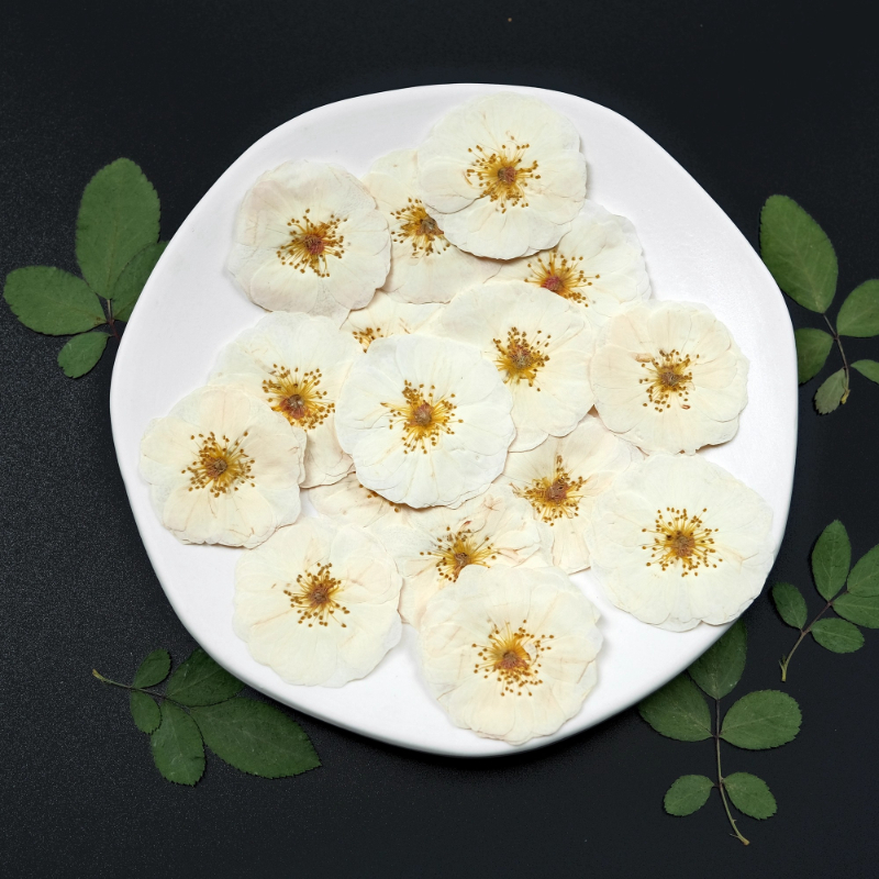 6pcs,9pcs,Nature White Rose Pr - Resin Craft Ideas avaliação e preço