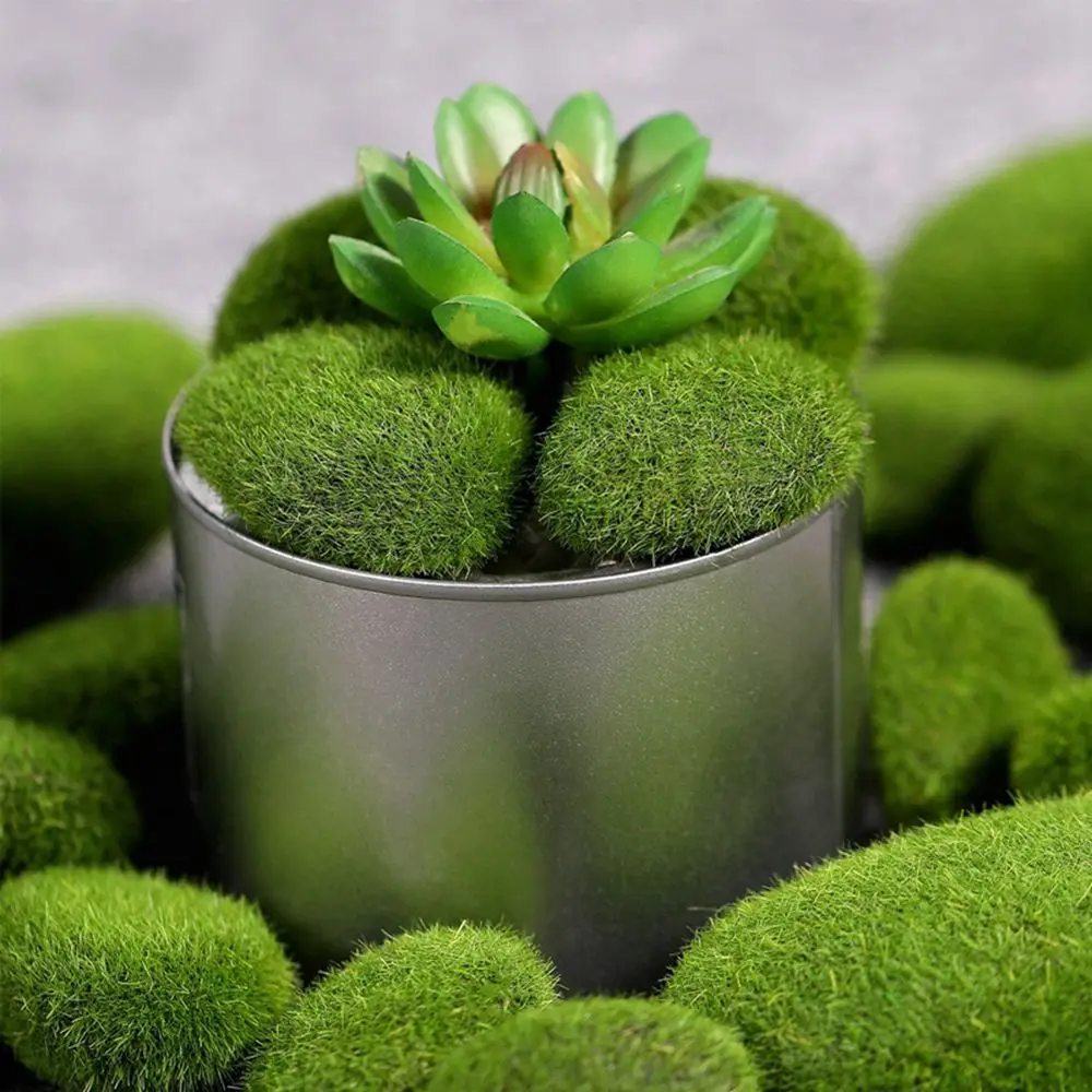 Floral Arrangements Fake Stone - Terrarium Moss Art avaliação e preço