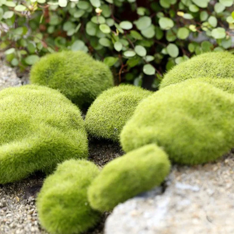 Fake Stone Artificial Moss Roc - Terrarium Moss Art avaliação e preço