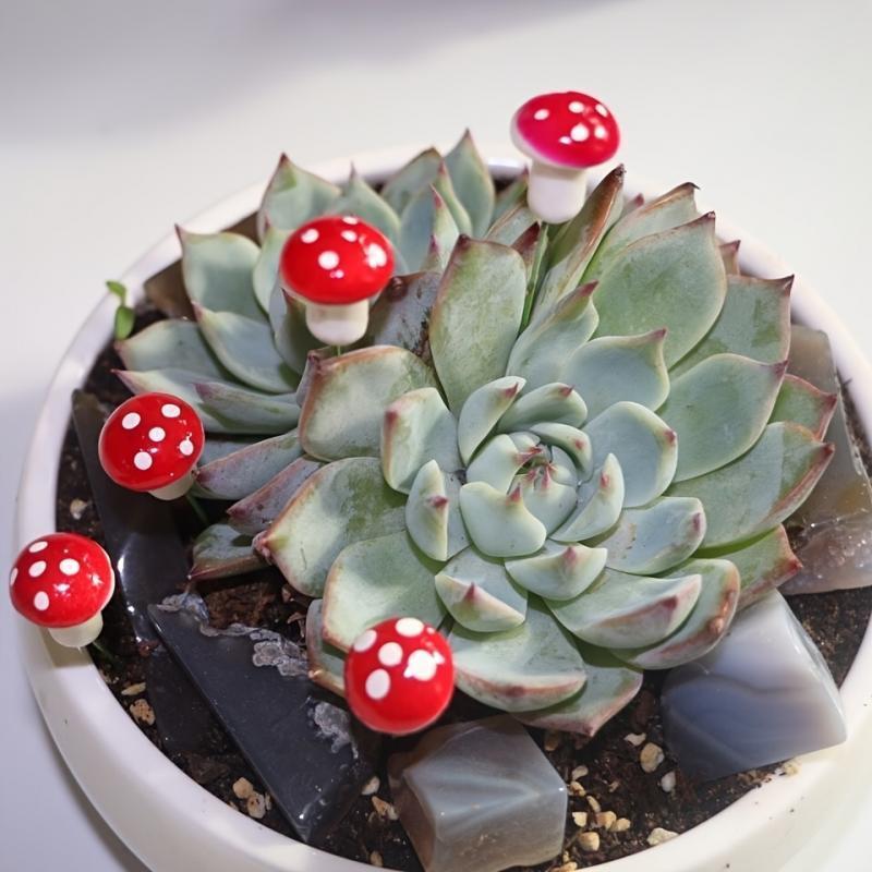 10-80PCS Mini Color Mushroom D - Terrarium Moss Art avaliação e preço