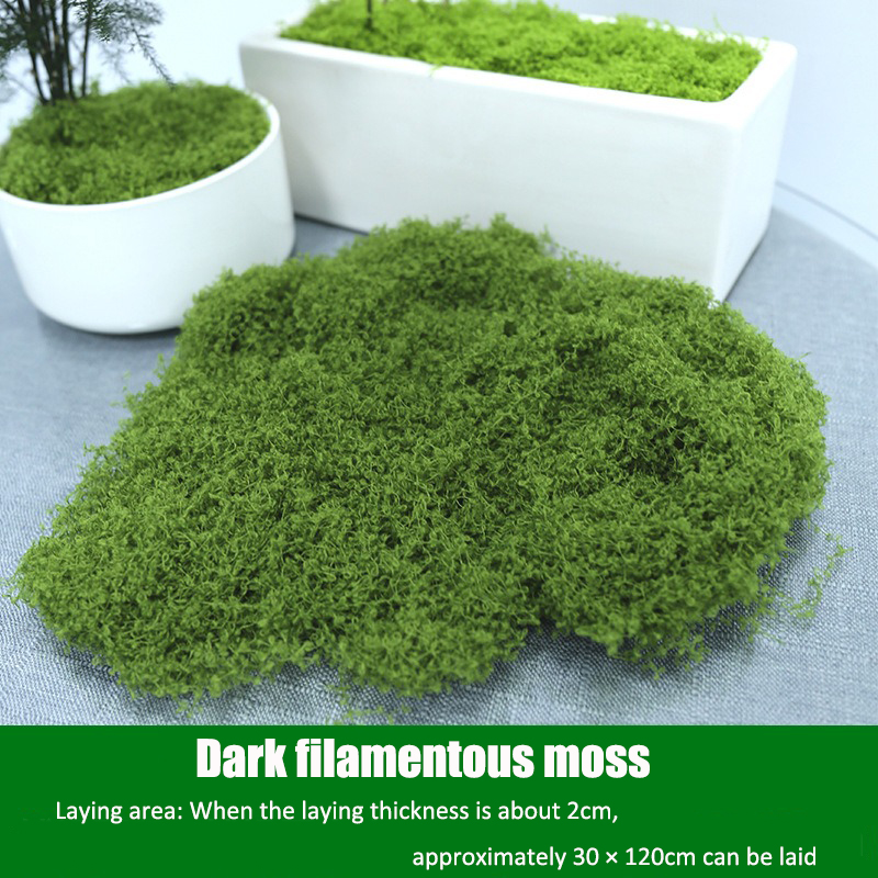 Artificial simulation of moss  - Terrarium Moss Art avaliação e preço