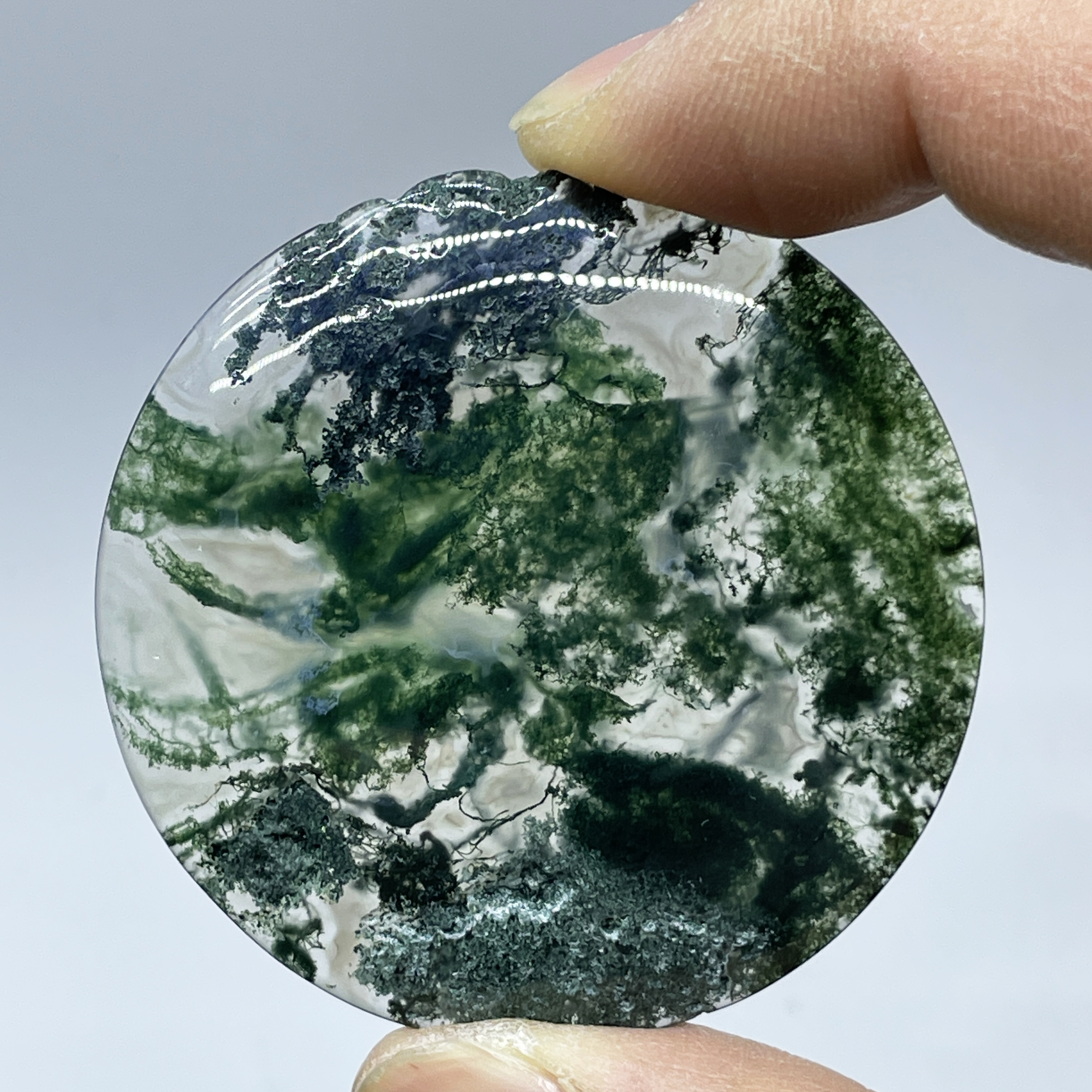Natural Crystal Moss Agate Wat - Terrarium Moss Art avaliação e preço