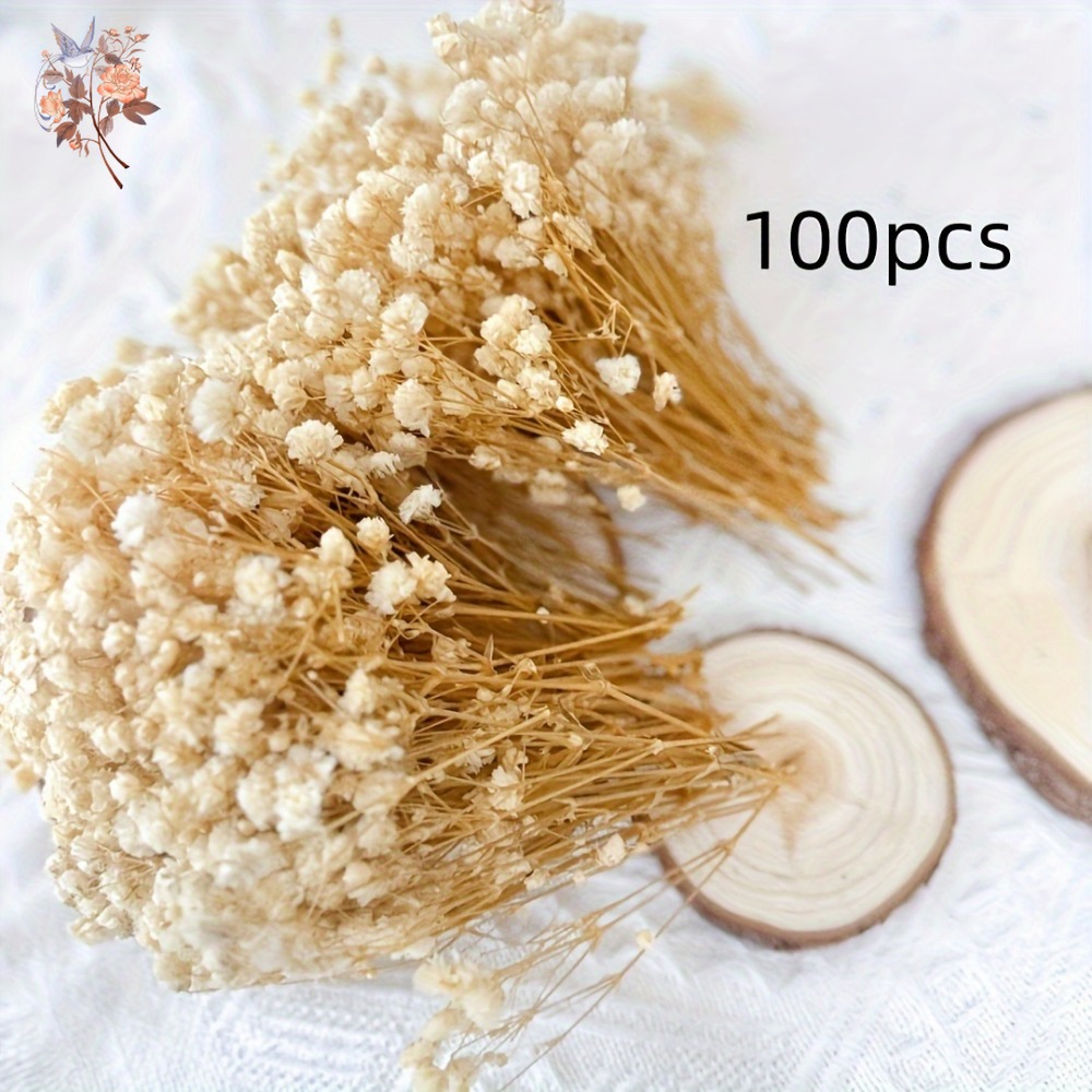 100pcs Mini Dried Baby's Breat - Resin Craft Ideas avaliação e preço